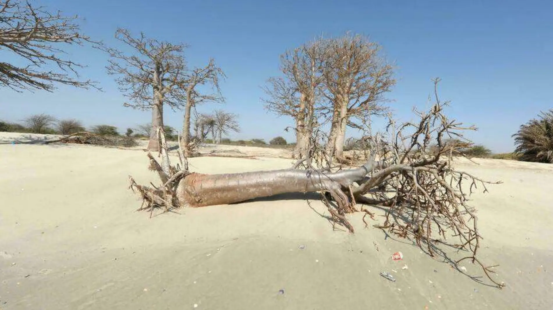 cambio climático